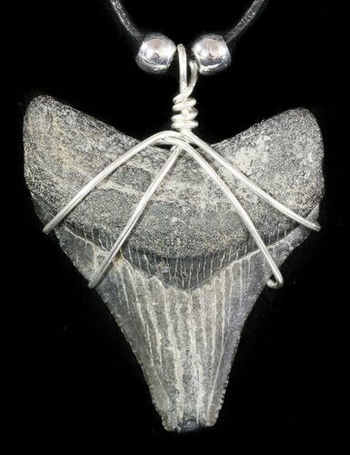 Fossil Megalodon Tooth Necklace #47774